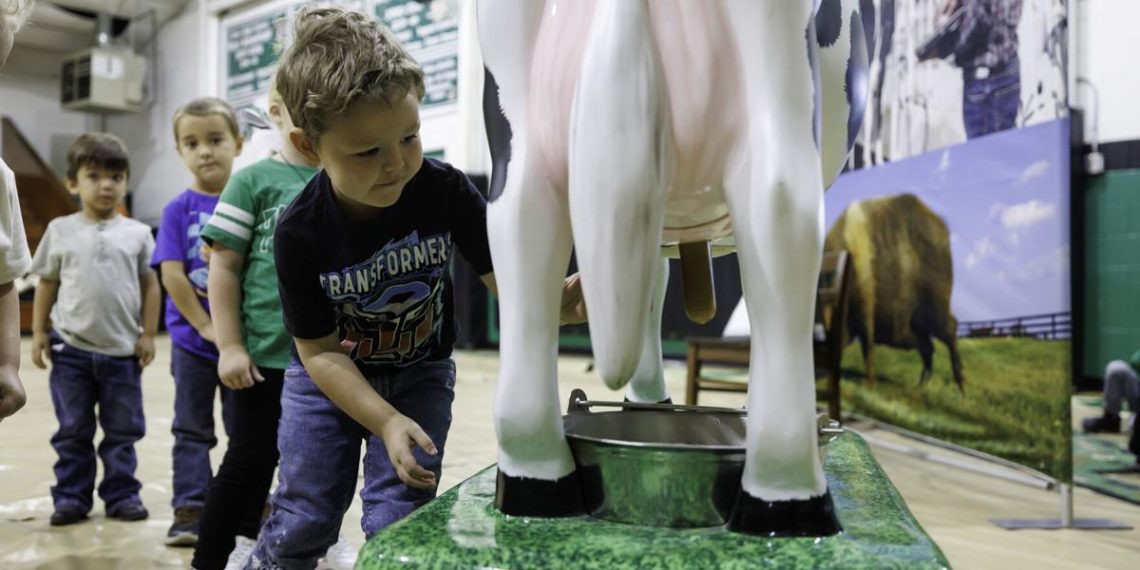 Farm to You exhibit helps college students study the origin of meals | Information