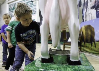 Farm to You exhibit helps college students study the origin of meals | Information