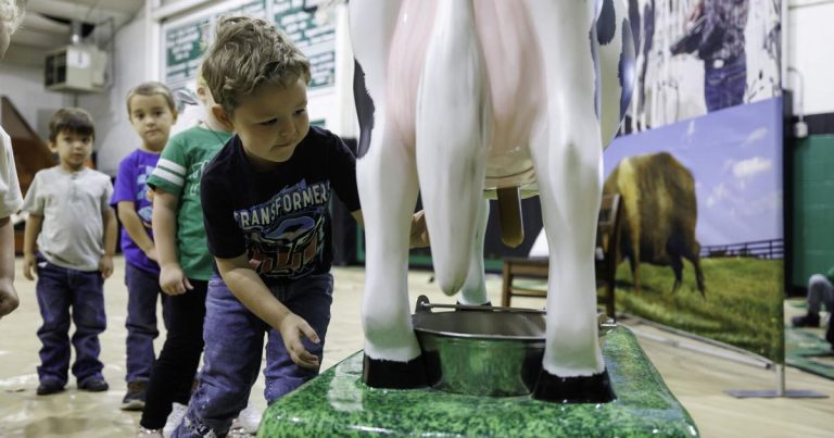 Farm to You exhibit helps college students study the origin of meals | Information