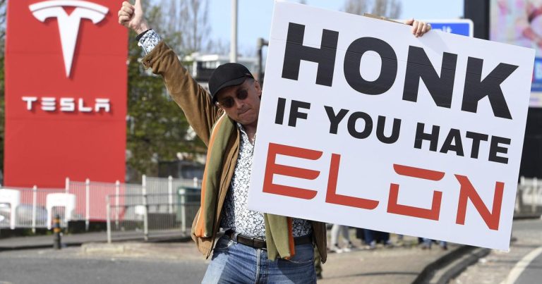 Photograph assortment: Tesla Proteste – Goskagit.com