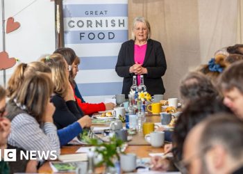 New plan for Cornwall’s meals and farming sector