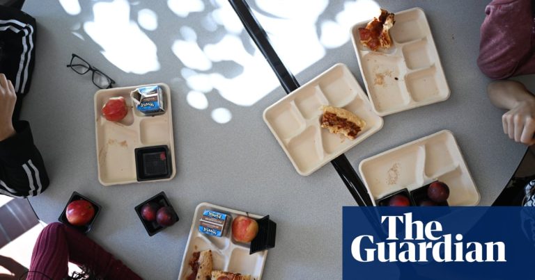 USDA cuts greater than $1bn in native meals purchases for colleges, meals banks | Trump administration