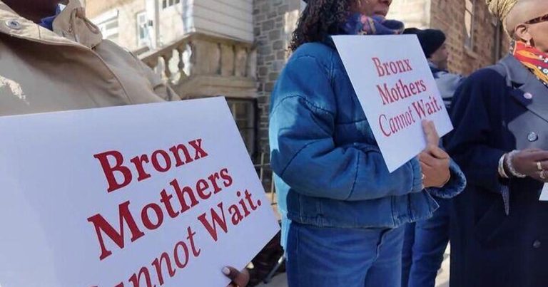 Bronx borough president requires birthing heart to handle maternal well being disaster