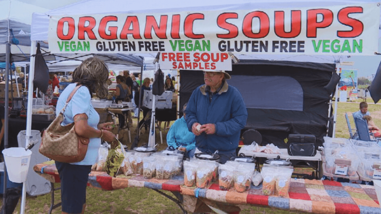 Pensacola’s seventh annual VegFest sees surge in vegan meals vehicles at remaining occasion