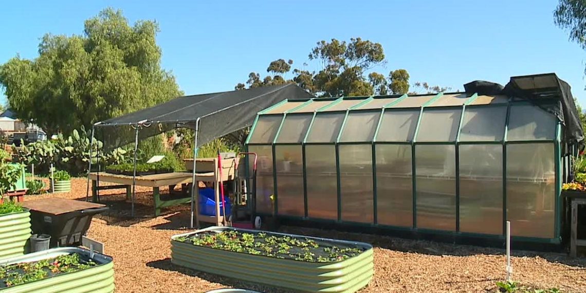 Nonprofit encourages native meals choices amid looming tariffs – Yahoo