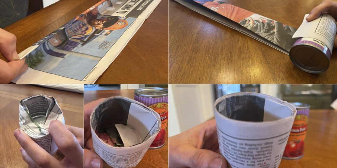 Upcycle small meals containers and even newspaper for beginning seeds indoors | Information, Sports activities, Jobs