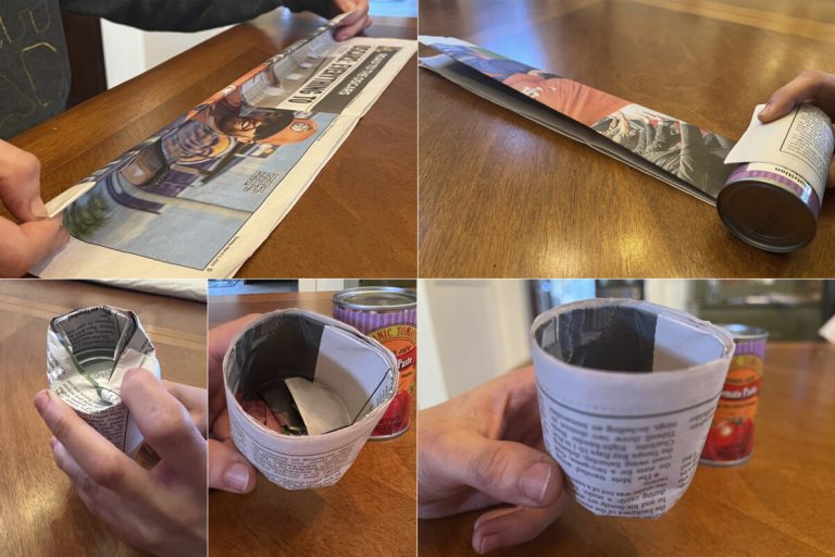 Upcycle small meals containers and even newspaper for beginning seeds indoors | Information, Sports activities, Jobs