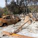 The Unseen Aftermath: Wildfires’ Lasting Well being and Emotional Burden
