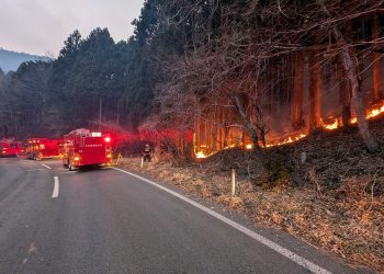 A whole bunch of evacuated and a couple of,00zero hectares in flames