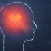 Higher Cardiovascular Well being Might Stave Off Degenerative Mind Illness