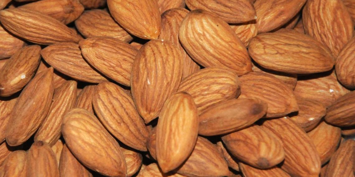 Nutritionists again almonds to fight life-style illnesses