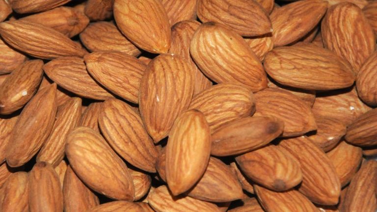 Nutritionists again almonds to fight life-style illnesses
