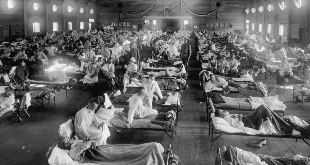 A glance into the world of Public Well being | Texas A&M College-San Antonio