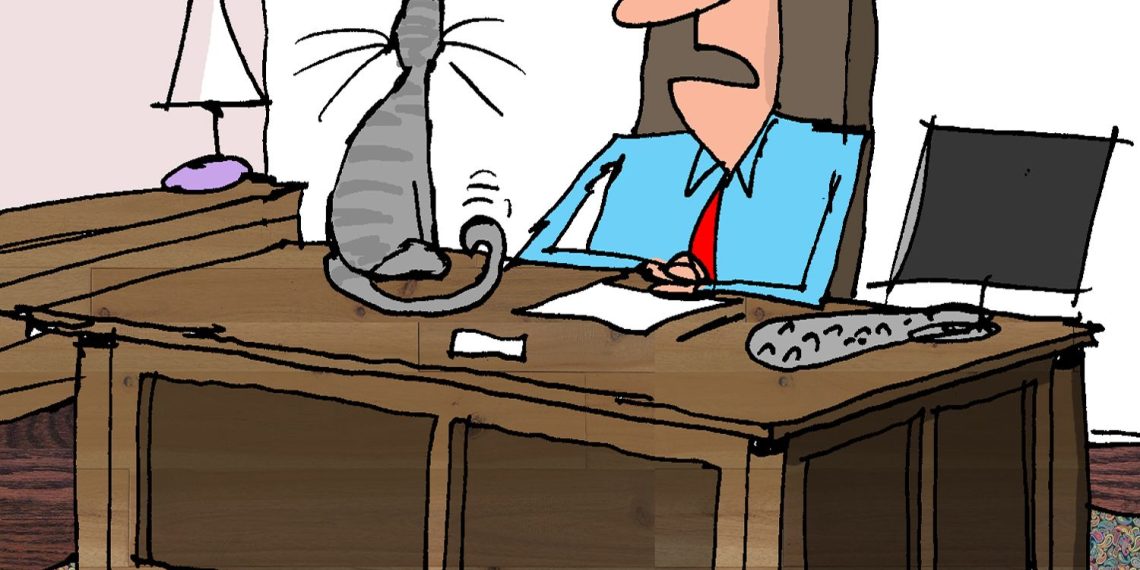 ‘Just one out of 9?’ – Kaiser Well being Information