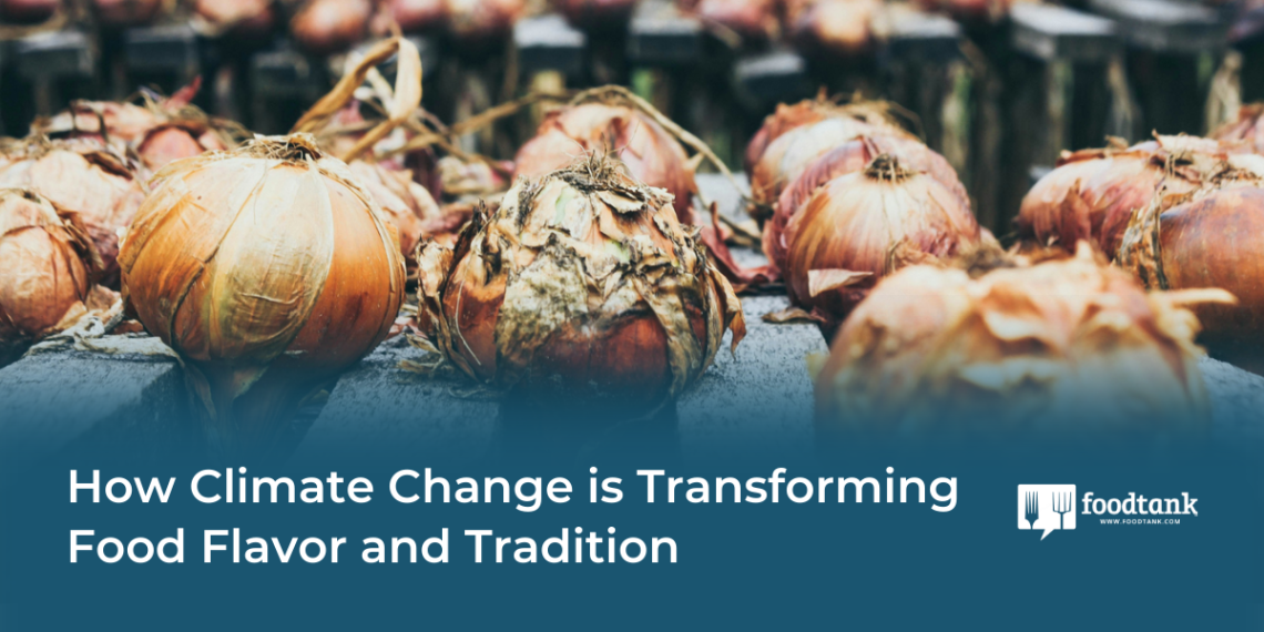 How Local weather Change is Remodeling Meals Taste and Custom – Meals Tank