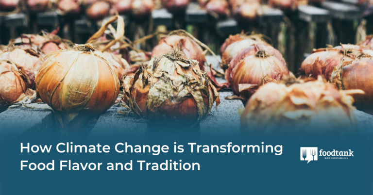 How Local weather Change is Remodeling Meals Taste and Custom – Meals Tank