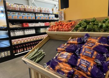 USDA funding cuts impacting native meals banks, faculties