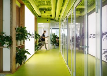 An open desk in Warsaw is a vibrant shade hub