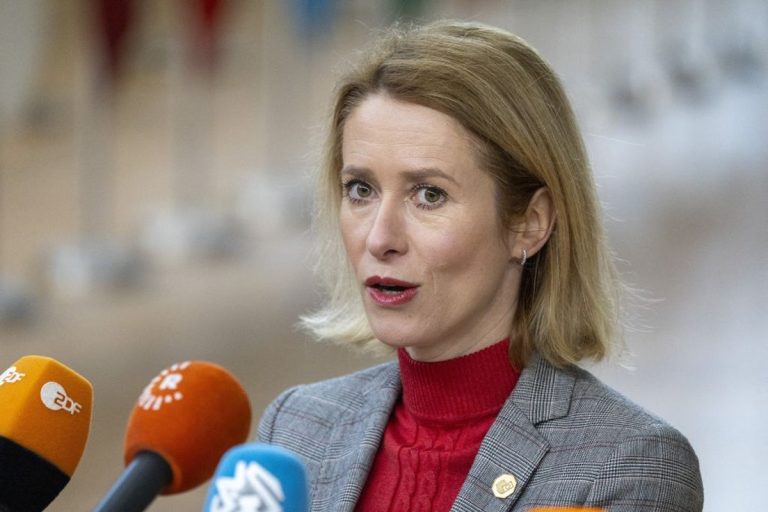 ‘The free world wants a brand new chief’, the EU exterior boss warns behind the explosive line between Trump and Zelensky