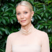 Gwyneth Paltrow filmed plenty of intercourse scenes with Timothée Chalamet for 'Marty Supreme' – Hometown Information Now