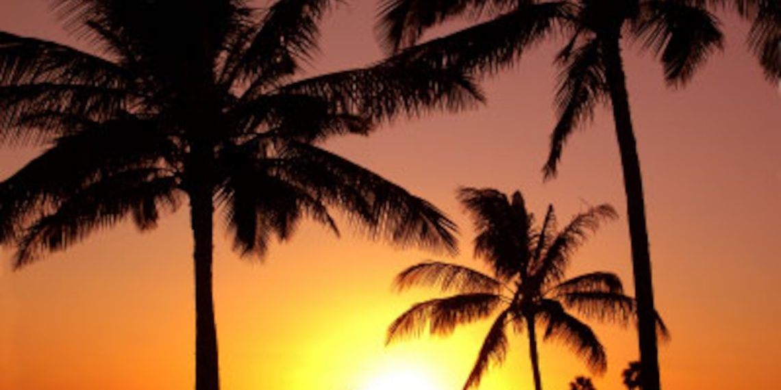 Journey discover: FBI warns to ‘know that the dangers are there’