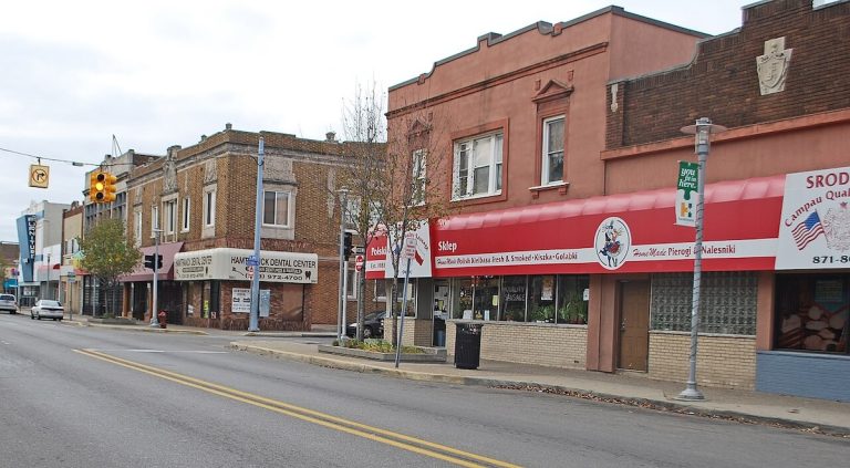 Analysis: Walkability Linked to Improved Public Well being
