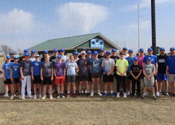 MAVS Baseball returns to the fundamental components | Information, sports activities, jobs