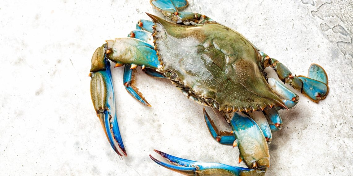 Can consuming invasive species and forgotten crops increase Europe’s meals safety?