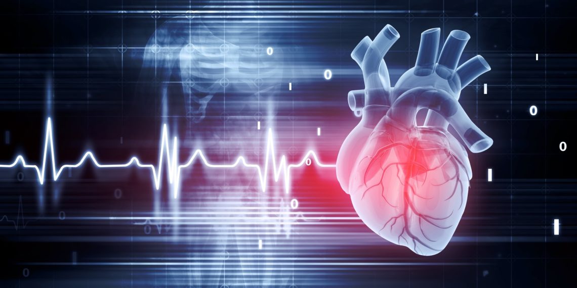Higher coronary heart well being slows mind ageing and lowers dementia danger, research finds