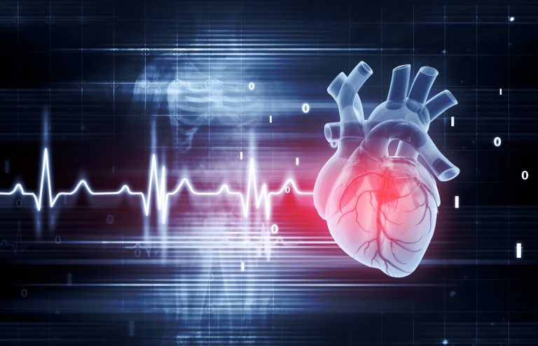 Higher coronary heart well being slows mind ageing and lowers dementia danger, research finds