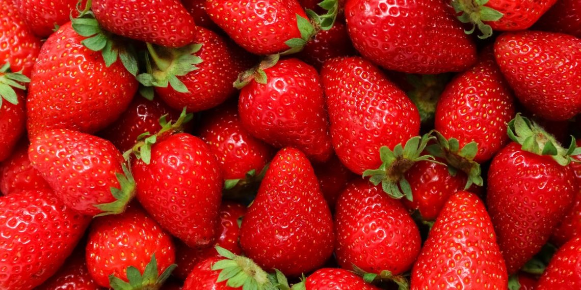 Strawberries improve mind velocity and coronary heart well being, however cognitive advantages stay unclear