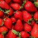 Strawberries improve mind velocity and coronary heart well being, however cognitive advantages stay unclear