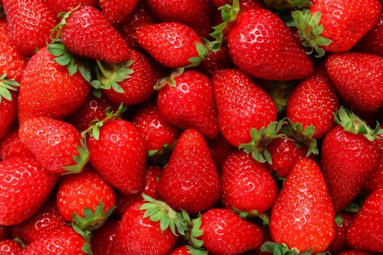 Strawberries improve mind velocity and coronary heart well being, however cognitive advantages stay unclear
