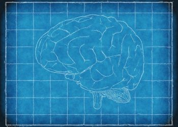 Consultants warn in opposition to dietary supplements, emphasize pure weight loss program and way of life