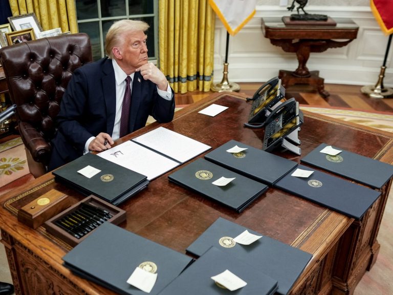 Trump’s govt order for citizenship from the proper to delivery reaches the Supreme Court docket