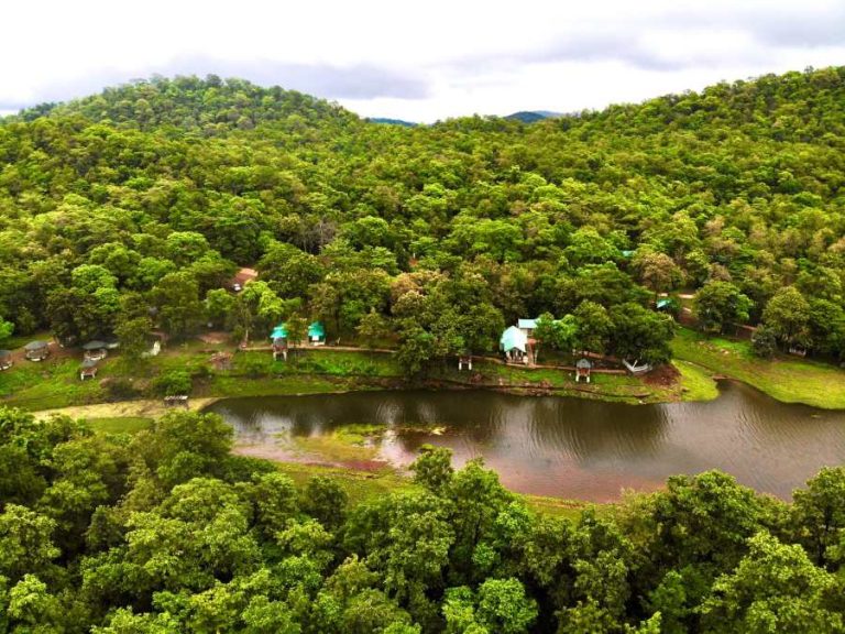Tourism in 2050: Inexperienced Expertise, Sustainable Journey and Way forward for Eco-Tourism