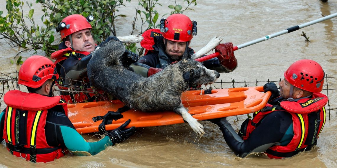 Overcrowded rivers, a useless girl in Seville and two lacking