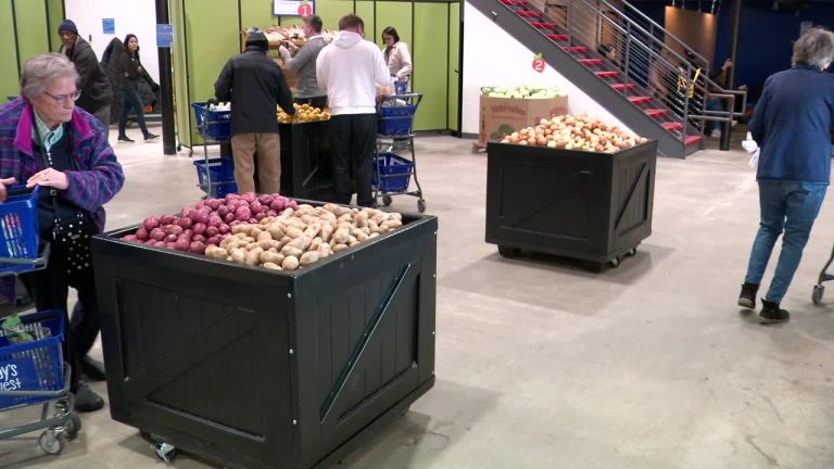 Minnesota sees report variety of meals shelf visits final yr, help wanted to maintain up with demand