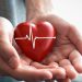 Life-style Modifications That Can Decrease Your Danger of Coronary heart Illness