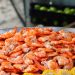 Alabama’s Nationwide Shrimp Competition ranks amongst high meals festivals within the U.S.