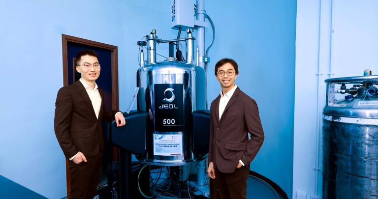 Polyu reveals zeolite buildings, stimulate catalyst know-how