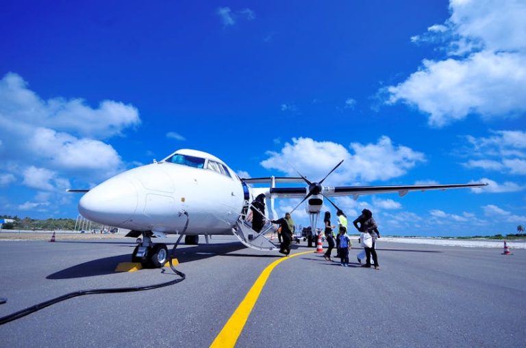 Delta, United, American, Thai Airways, Asiana Airways, Etihad Airways, Wizz Air, EVA Air, IndiGo, JetBlue Dominate as World Airways Skyrocket in Income Rankings, New Replace