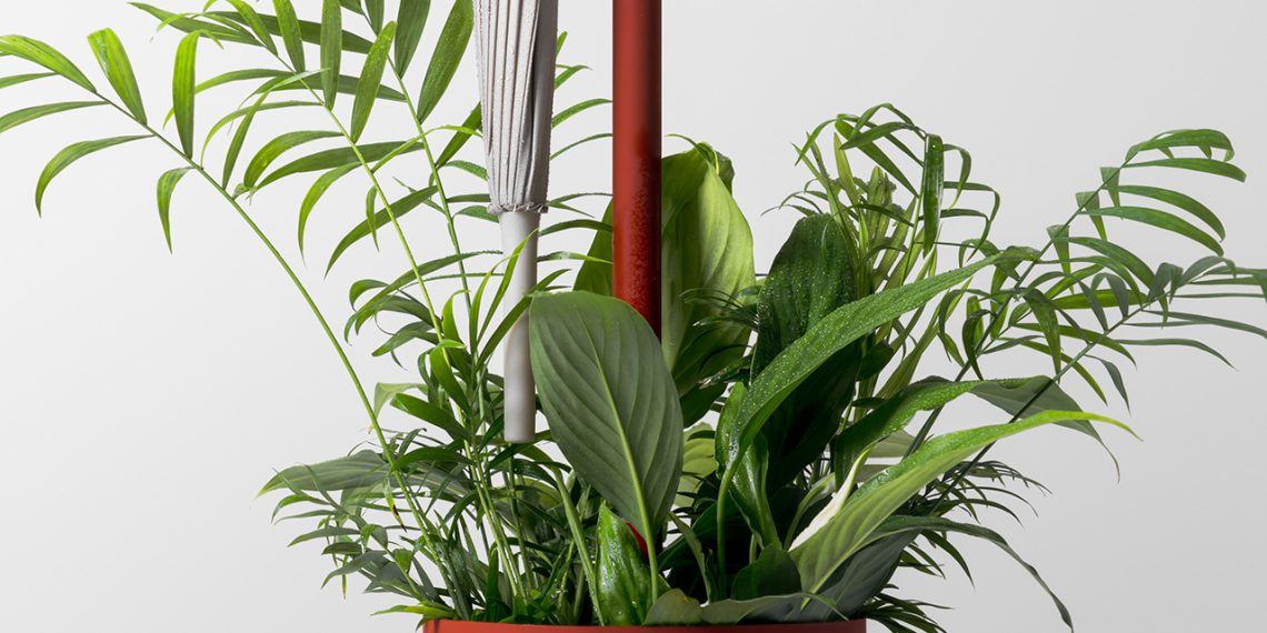 Riindrop de Junwoo Lim surprises the facility of rainwater