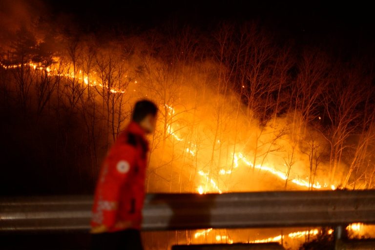 Is it secure to journey to South Korea in the course of the wildfires?