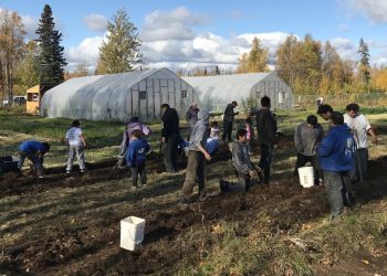 Federal cuts harm meals safety packages in a number of Alaska Native villages