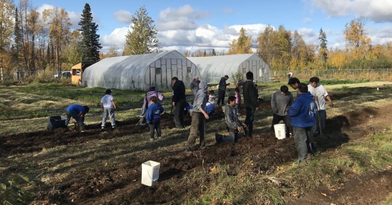 Federal cuts harm meals safety packages in a number of Alaska Native villages