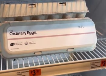 The strange leather-based model begins to promote eggs to make them accessible once more