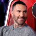 The Voice’s Adam Levine Calls Out ‘Silly’ Blake Shelton