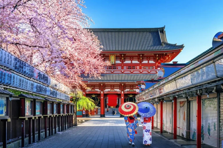 ANA, Air India Broaden Codeshare for Smoother India-Japan Journey