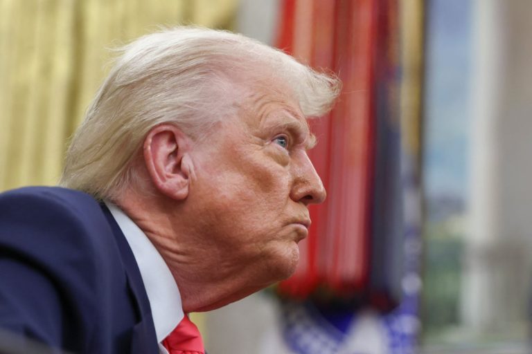 Trump desires to revive a journey ban. Listed below are the international locations that might be included